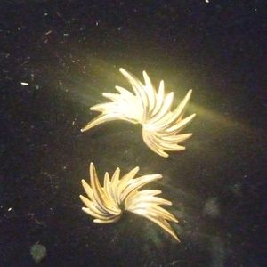 Clip-on earrings